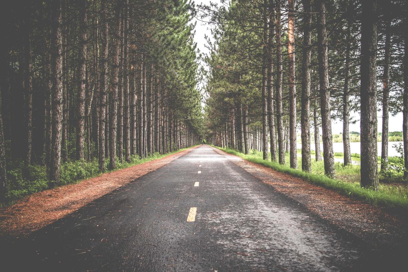 Dolorum et quia
